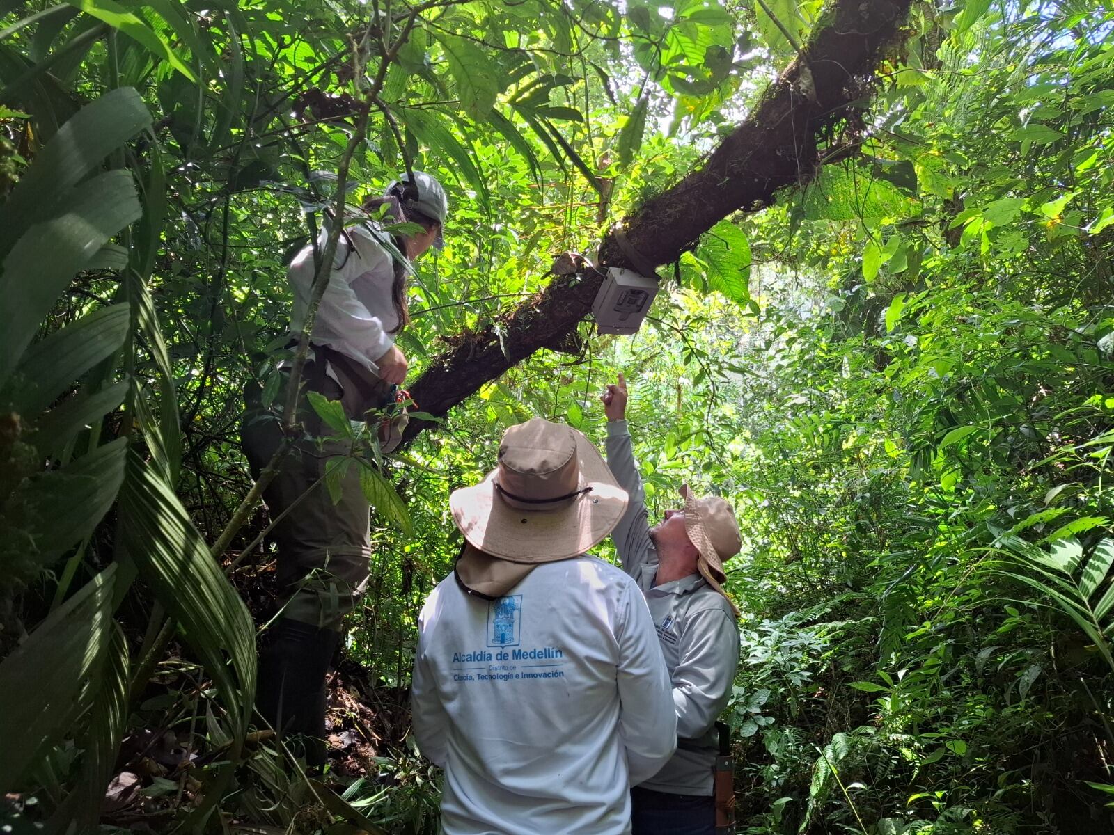 Foto: Alcaldía de Medellín