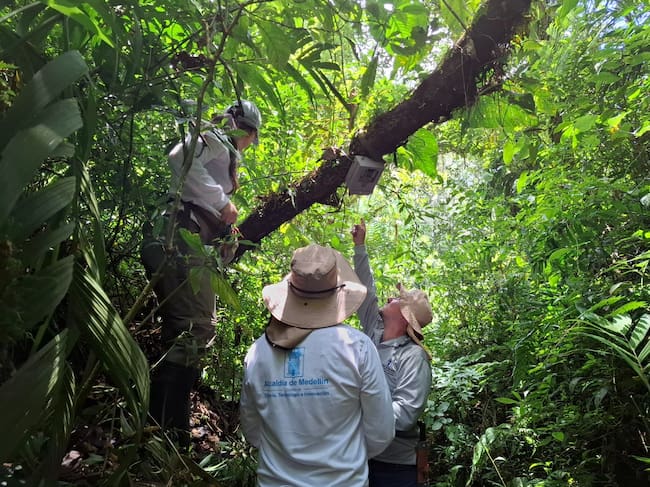 Foto: Alcaldía de Medellín