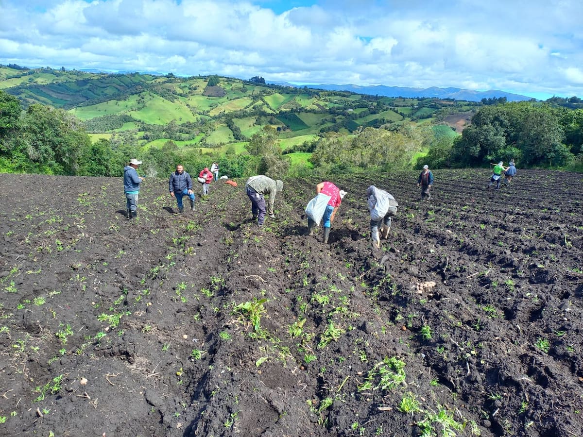 Paperos bloquean vía Bogotá - Tunja por crisis del sector: exigen ayudas urgentes al Gobierno