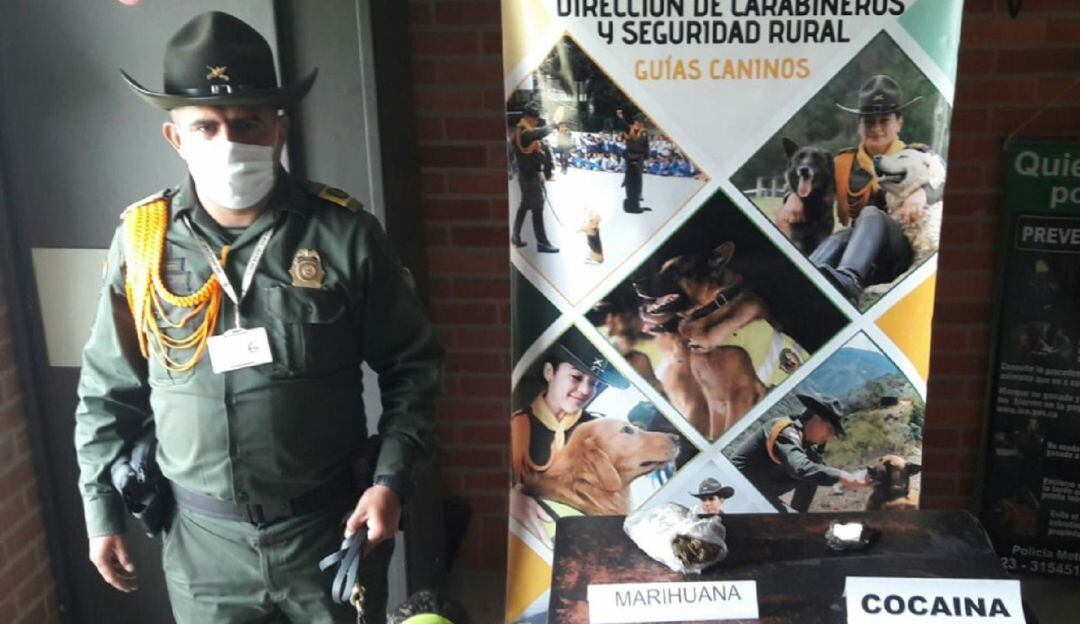 Pastor alemán clave en la lucha contra el tráfico de drogas en Tunja