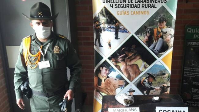 Pastor alemán clave en la lucha contra el tráfico de drogas en Tunja