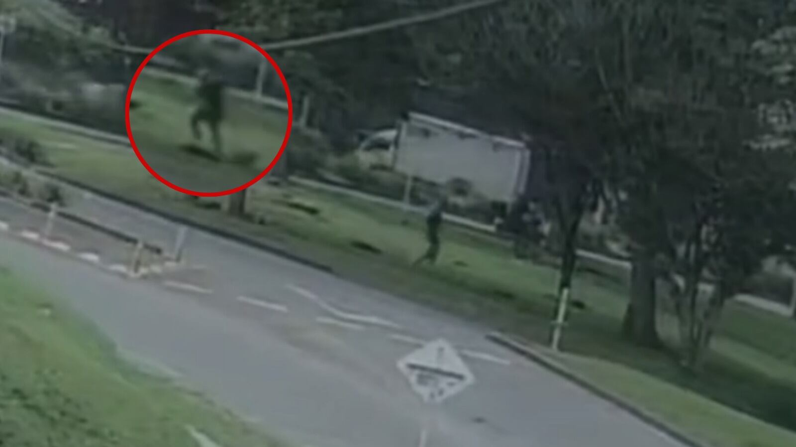 Rechazo por brutal caso de maltrato animal en Popayán