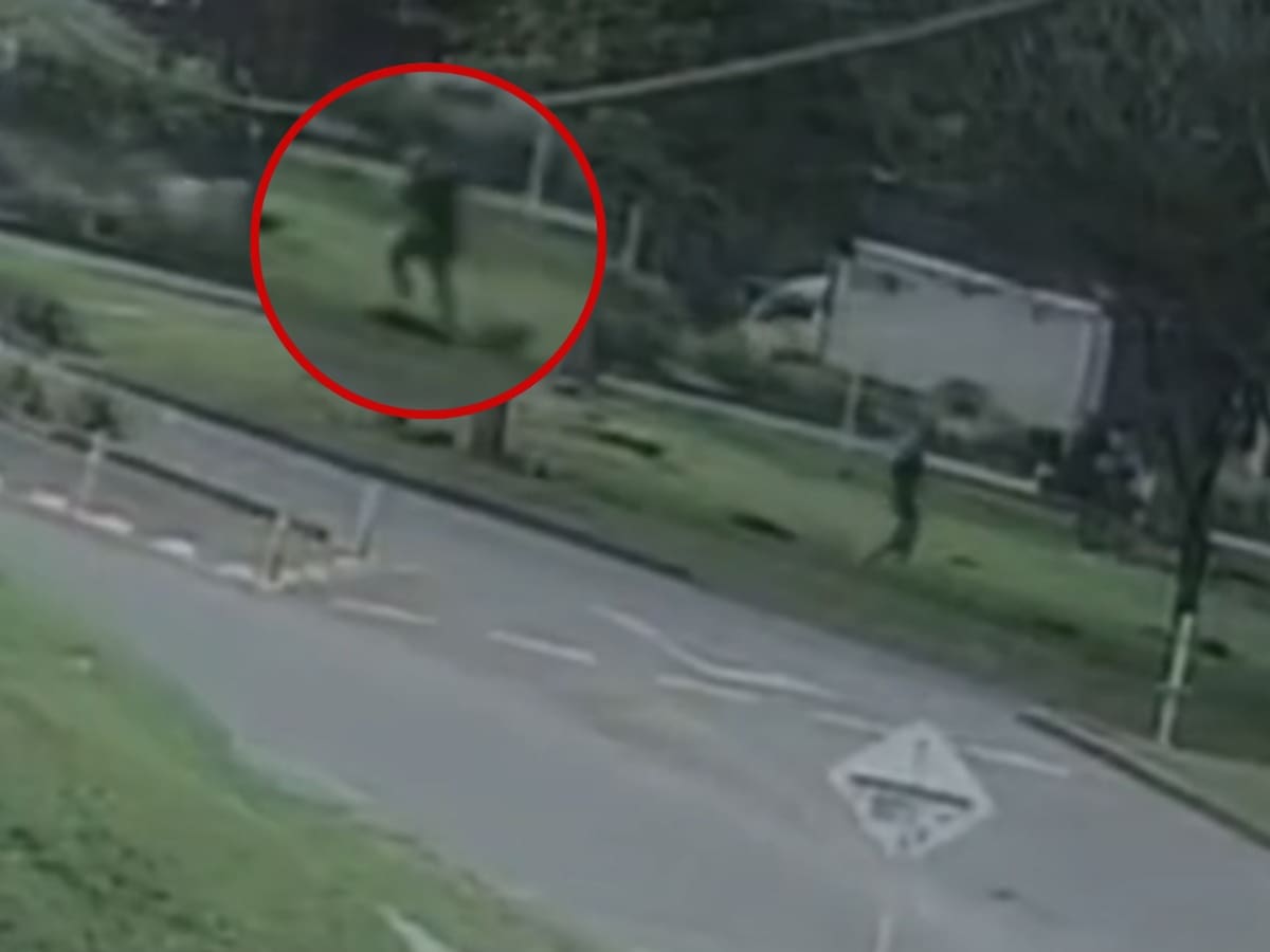 Rechazo por brutal caso de maltrato animal en Popayán