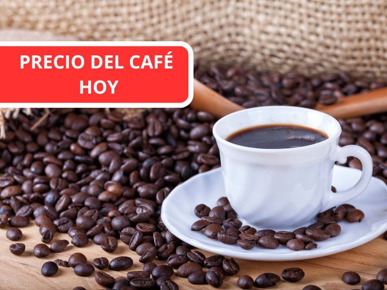 Precio del café HOY 29 de abril: así se cotiza la carga de 125 kg, según último reporte de FNC// Crédito: Getty Images