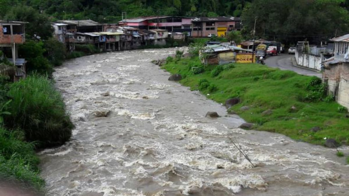 Director encargado CRQ