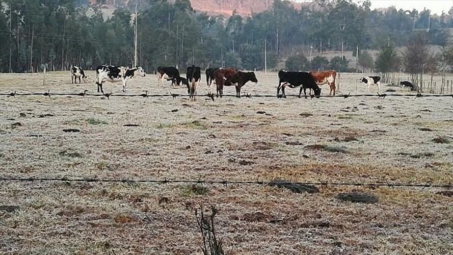 Fenómeno de El Niño afecta fuertemente al municipio de Caldas (Boyacá) /Foto: La W