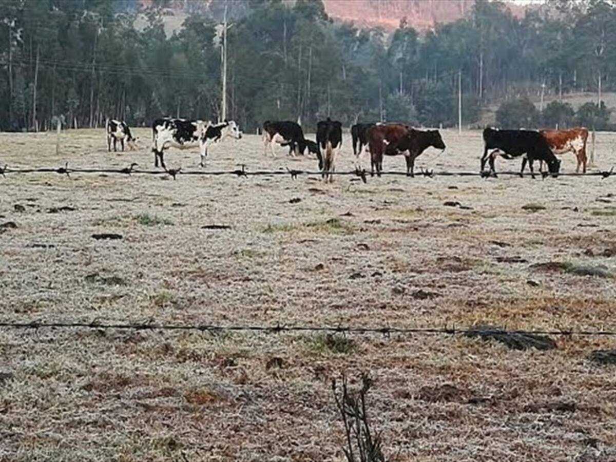 El municipio de Caldas, Boyacá, se declara en alerta naranja
