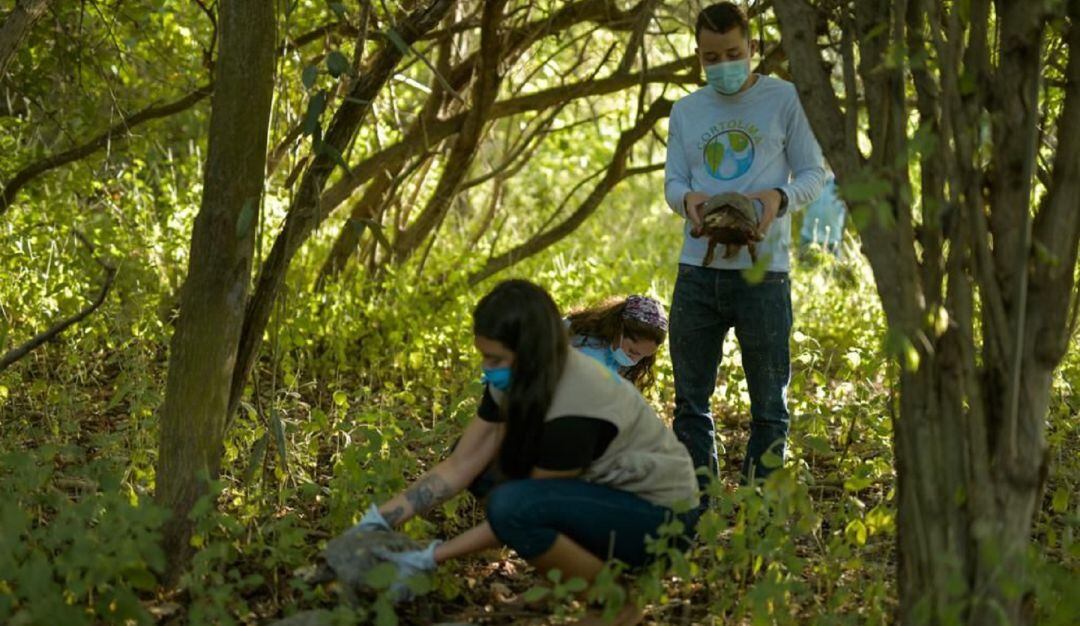 Fauna silvestre retornó a su hábitat