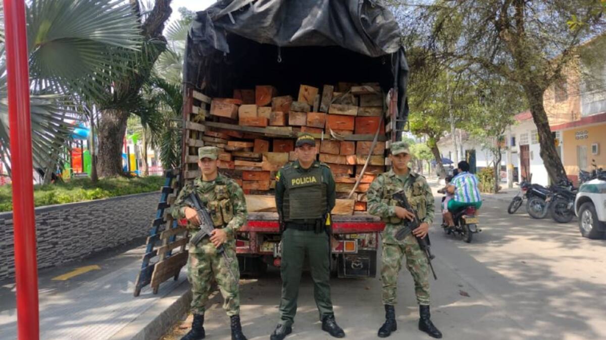 Incautan madera en el municipio de Purificación, Tolima