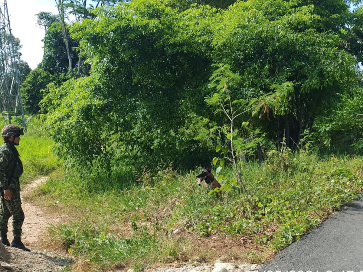 Ejército frustró posible atentado con explosivos en Tibú, Norte de Santander