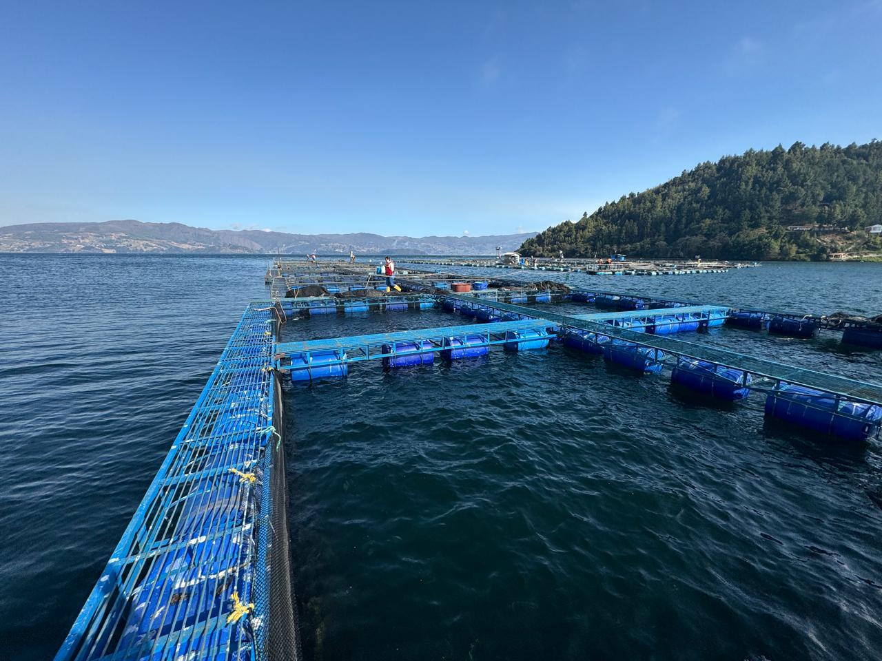 Piscitota es una de las empresas que transforma los residuos de vísceras, en aceite de trucha. Foto | Cortesía de Piscitota