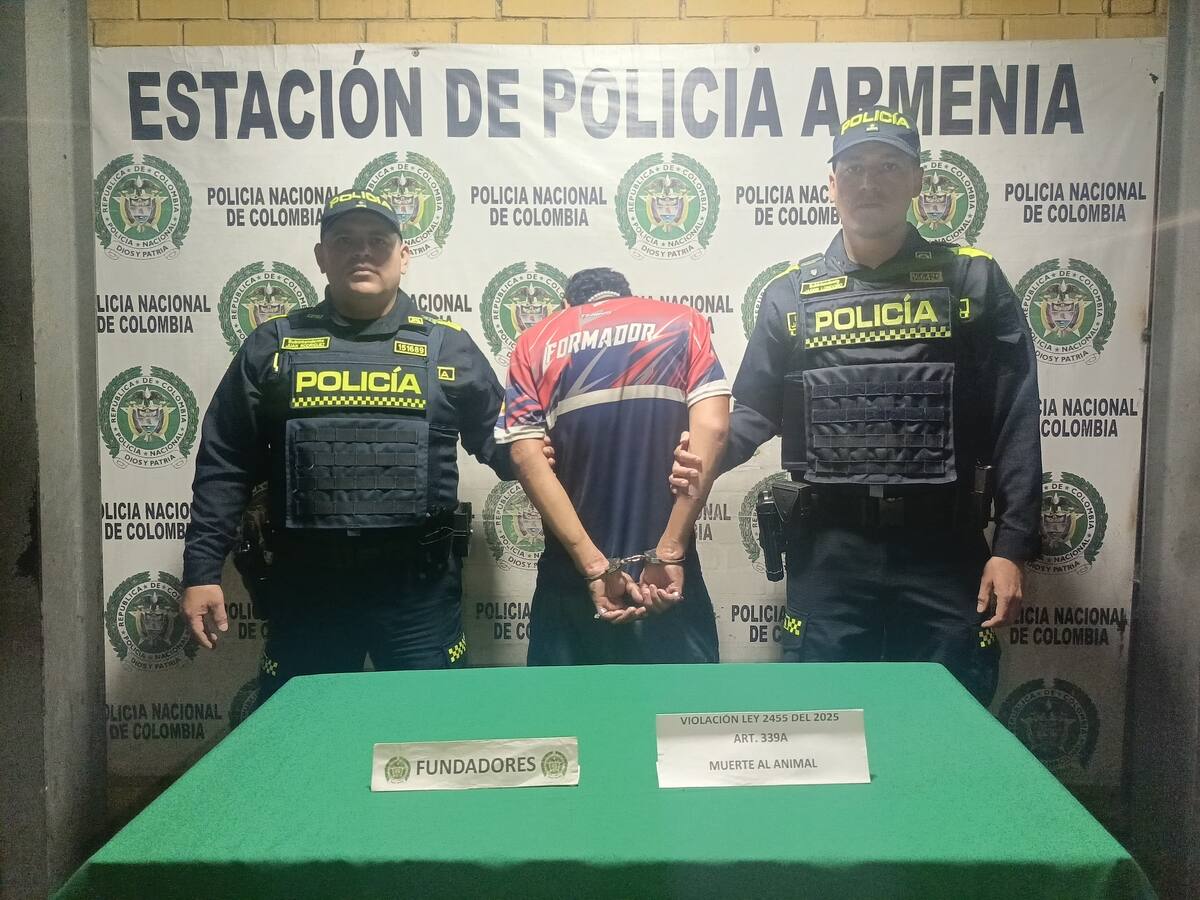 Segunda captura bajo la Ley Ángel en Quindío: un hombre le ocasionó la muerte a un guatín