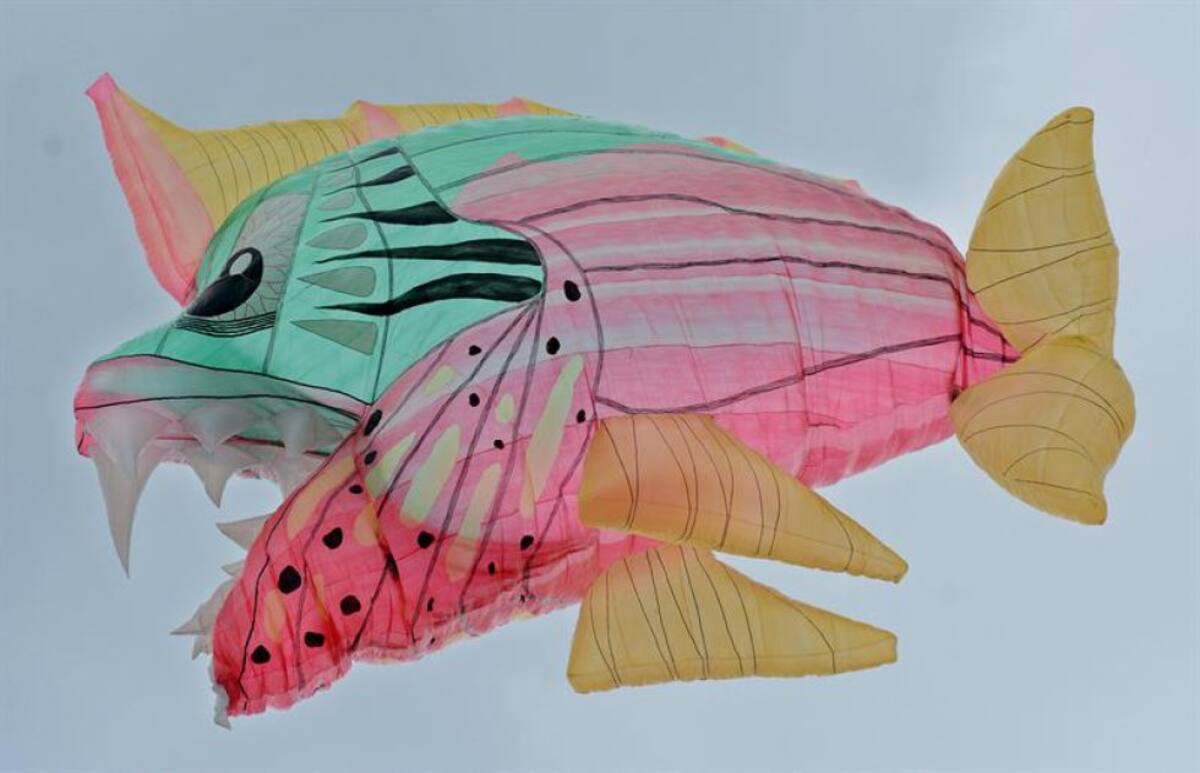 Con el Amazonas como gran telón de fondo, esta versión se concentró en mostrar a través de 20 globos solares su fauna y flora, además de su cultura con vibrantes máscaras indígenas.