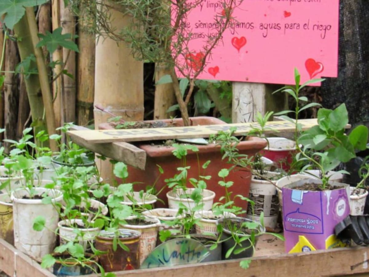 Programa de Seguridad Alimentaria en Caldas ya es una realidad