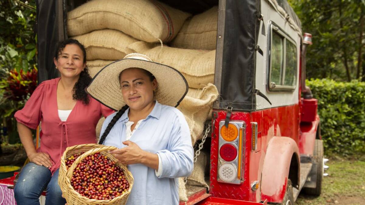 Mujeres Cafeteras, un homenaje al trabajo de las caficultoras colombianas