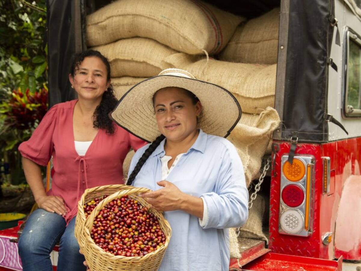 Mujeres Cafeteras, un homenaje al trabajo de las caficultoras colombianas