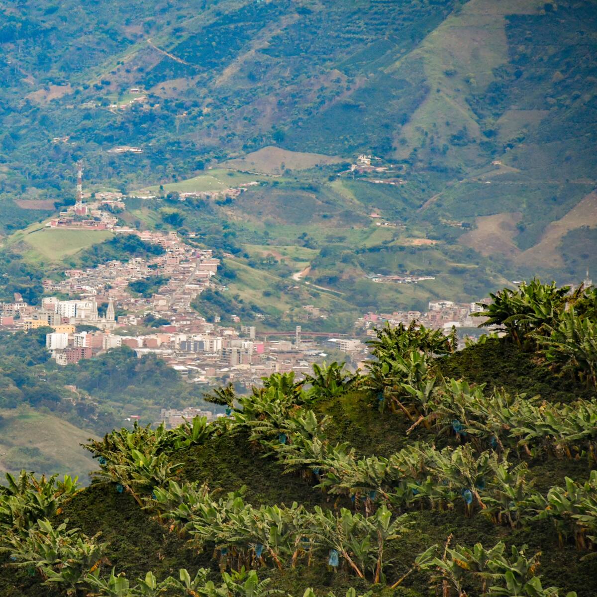 Cuando trasladaban un cadáver, el Clan del Golfo hostigó al CTI y se originó un combate en Andes