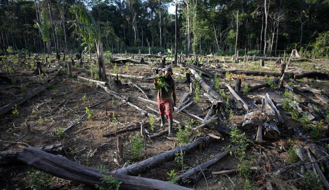 Deforestación en Colombia