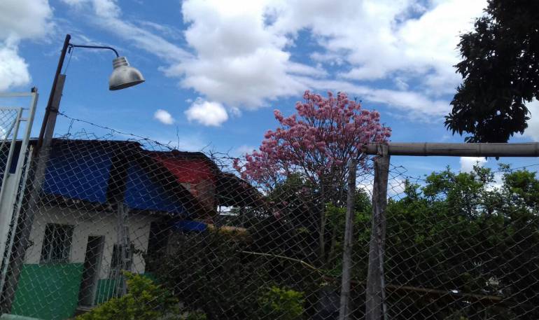 De lunes a viernes escuche 1150AM Las noticias de la región