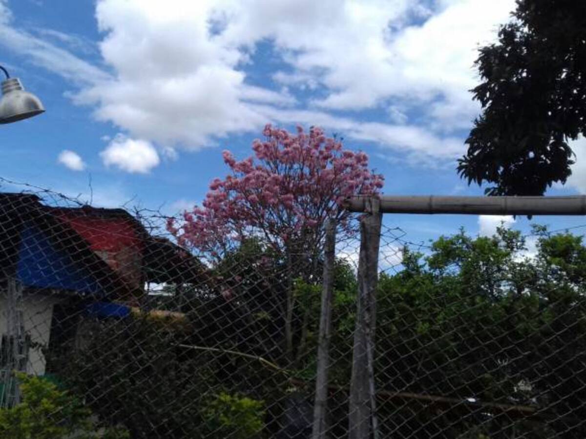 Lunes 11 de septiembre, Noticias más importantes de Armenia y Quindío