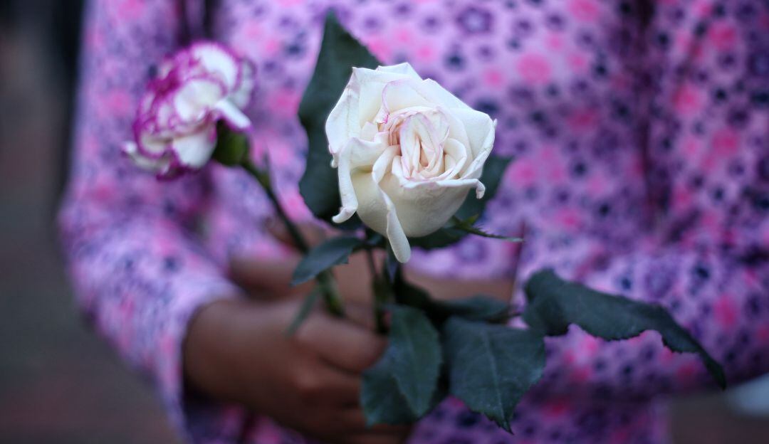 Imagen de referencia