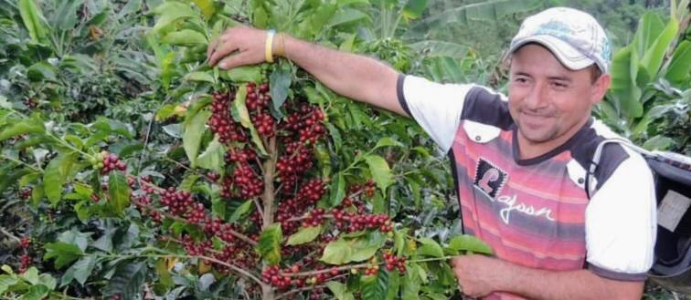 Asesinan a líder social que transportaba a seis niños en Tuluá, Valle - Alcaldía