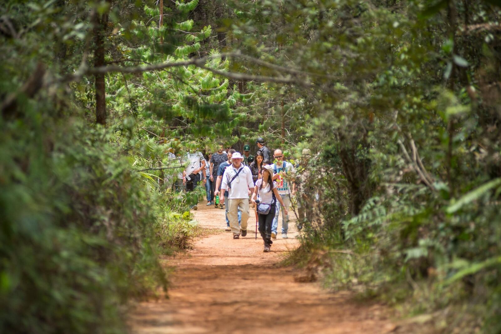 Parque Arví- foto alcaldía de Medellín