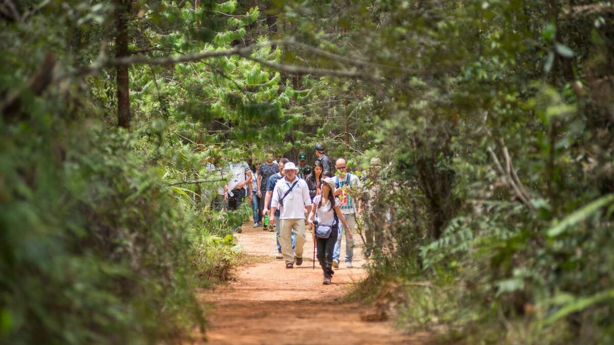El Parque Arví superó la crisis económica y se consolida como el destino más visitado en Medellín
