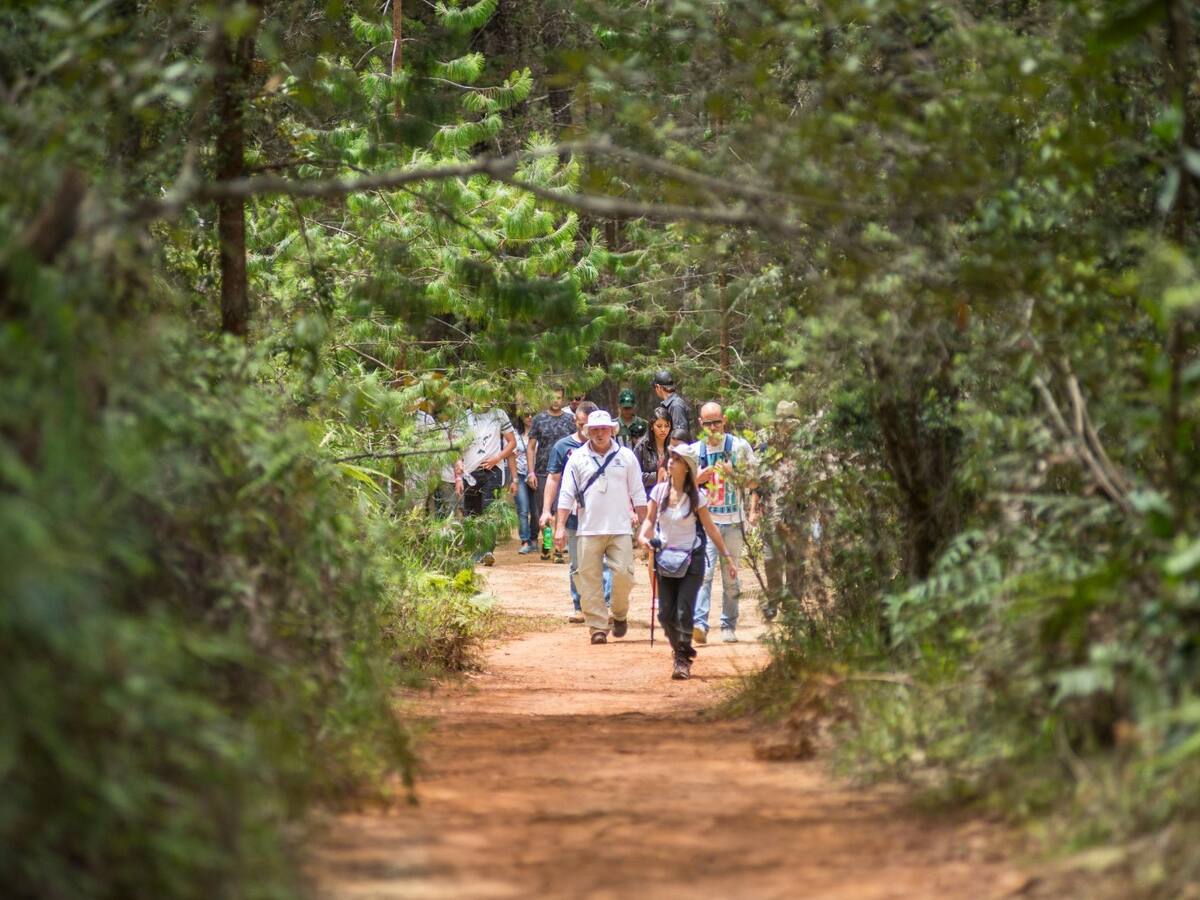 El Parque Arví superó la crisis económica y se consolida como el destino más visitado en Medellín