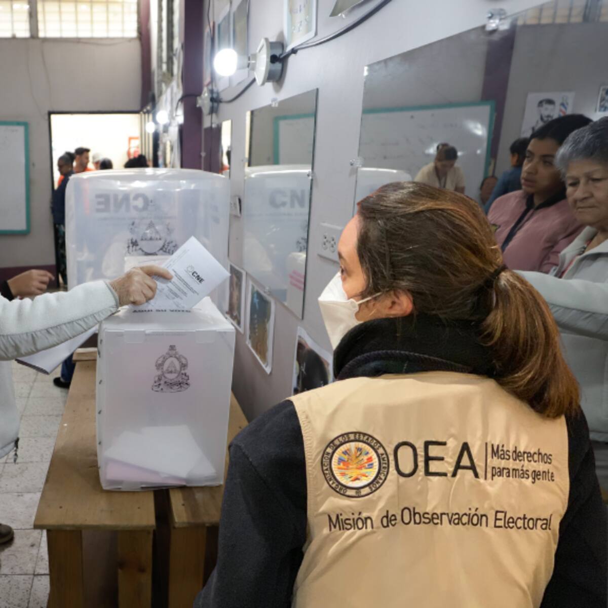 OEA pide agilizar escrutinios de las elecciones en Honduras: tras 6 días, sigue sin conocerse ganador