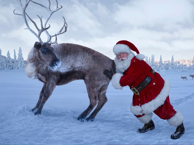 Renos de Papá Noel, imagen de referencia (Getty Images).
