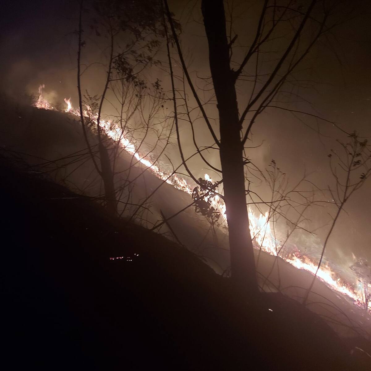 Bomberos tratan de apagar un enorme incendio forestal en Amagá