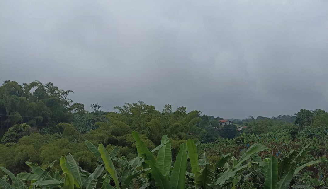 Finca Hotel La Rivera 