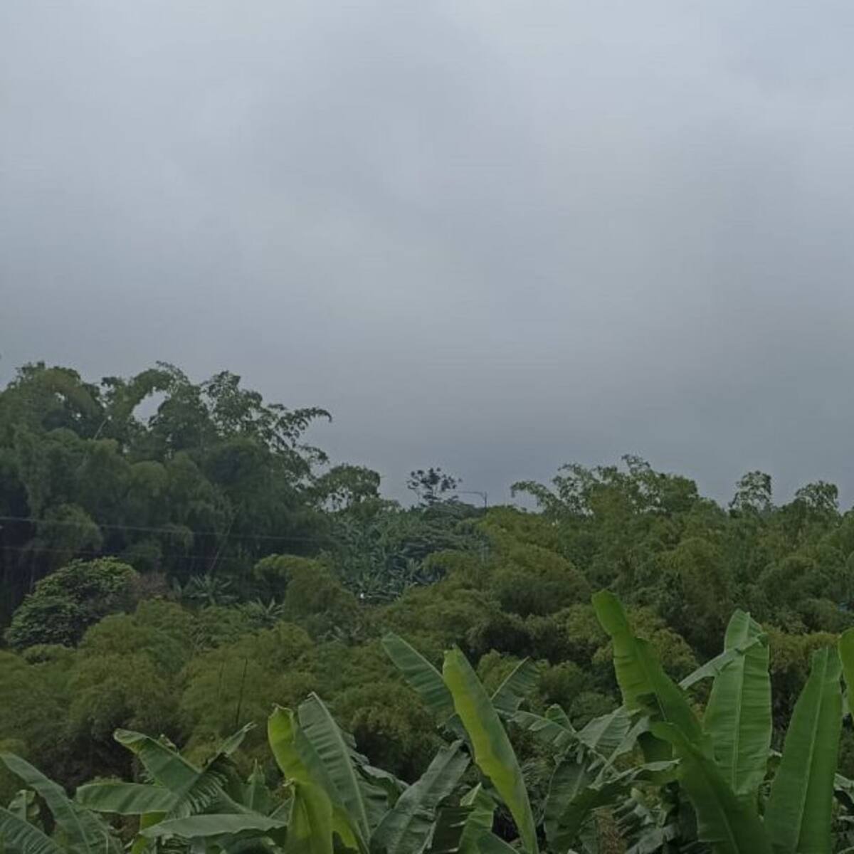 Miércoles 11 de Mayo, las principales noticias de Armenia y Quindío