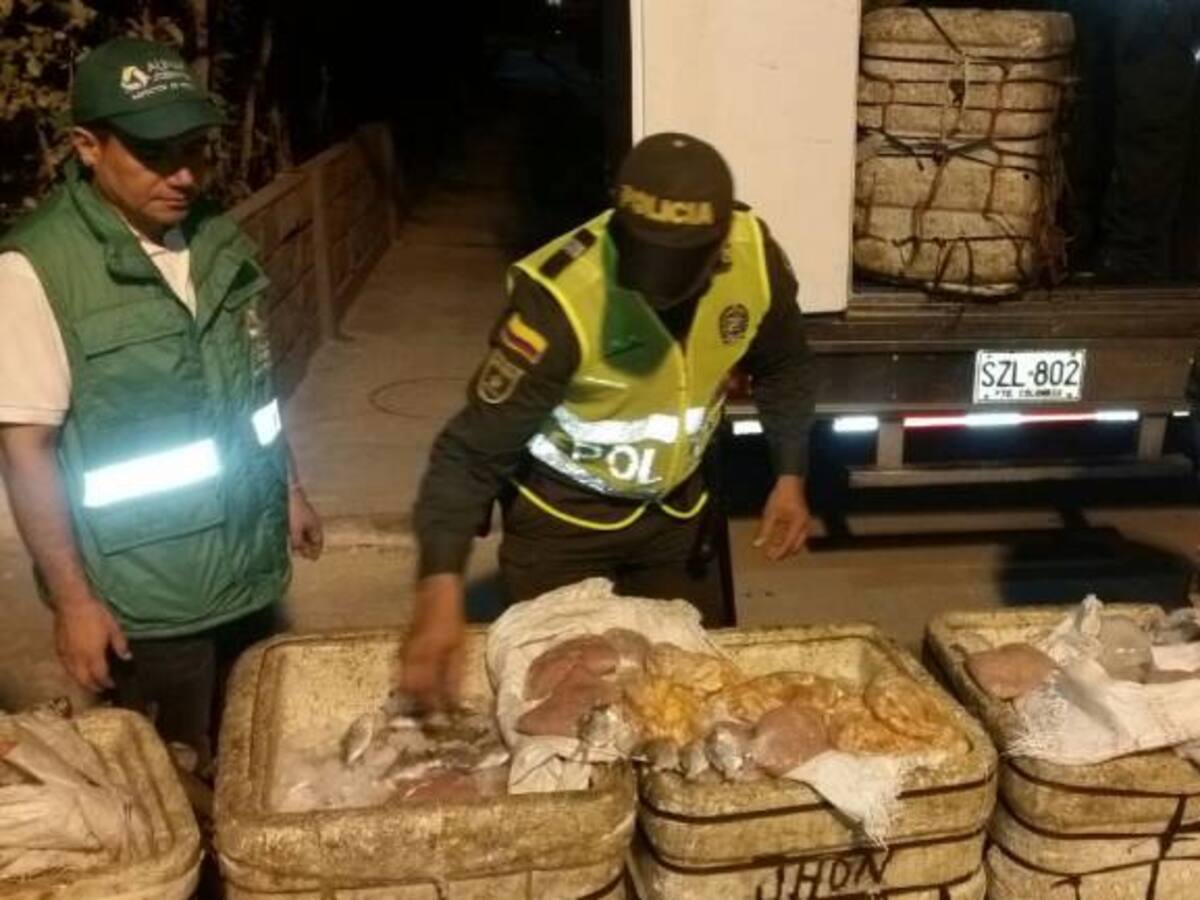 Incautan 250 kilos de pescado en Barranquilla