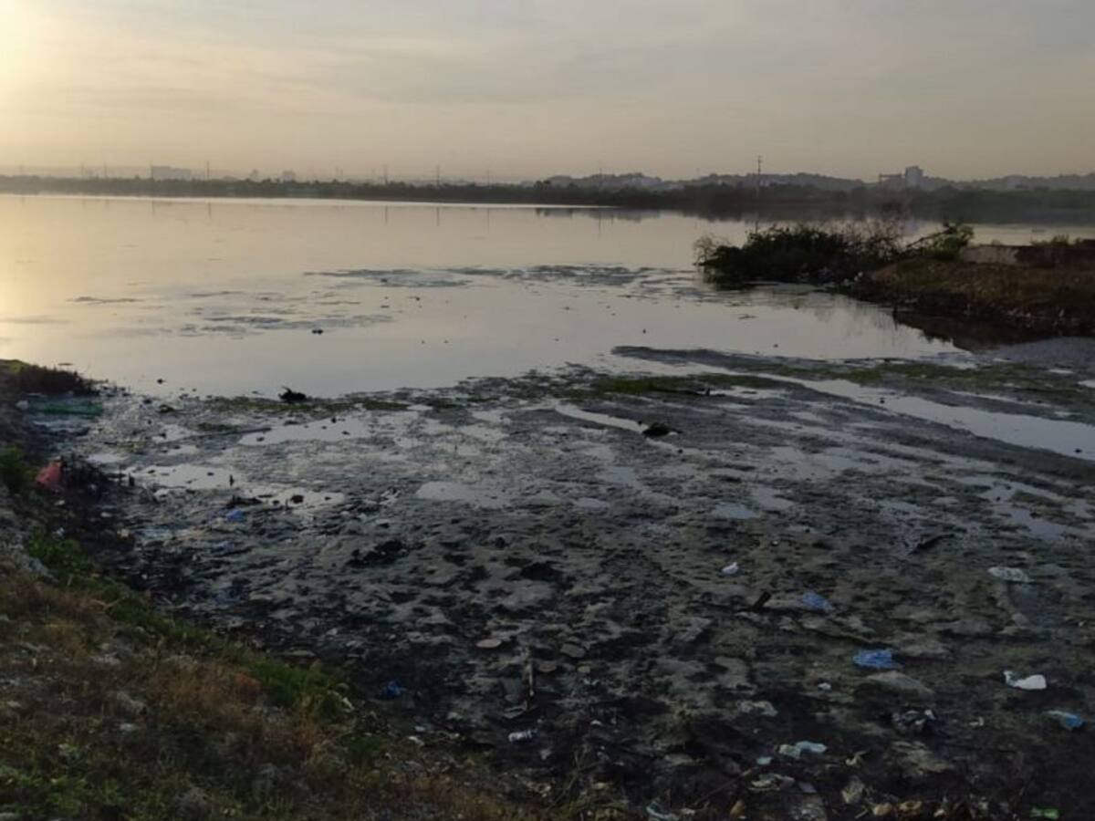 Exigen trabajos de limpieza en la Ciénaga de la Virgen de Cartagena