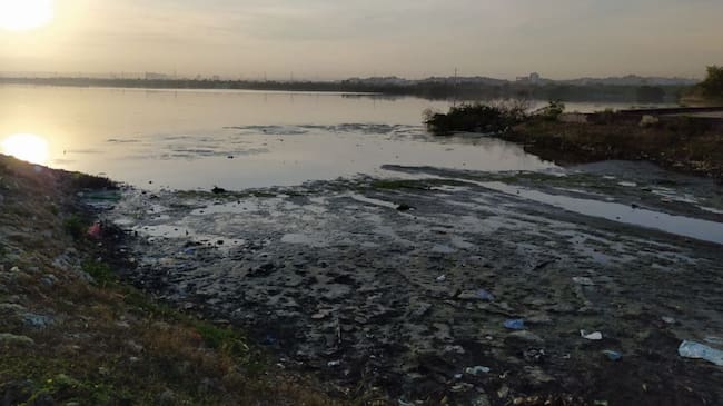 Ciénaga de la Virgen en Cartagena