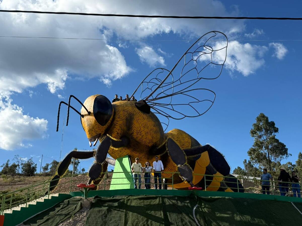 En Sutamarchán le rinden homenaje a las abejas con un parque temático único en Boyacá