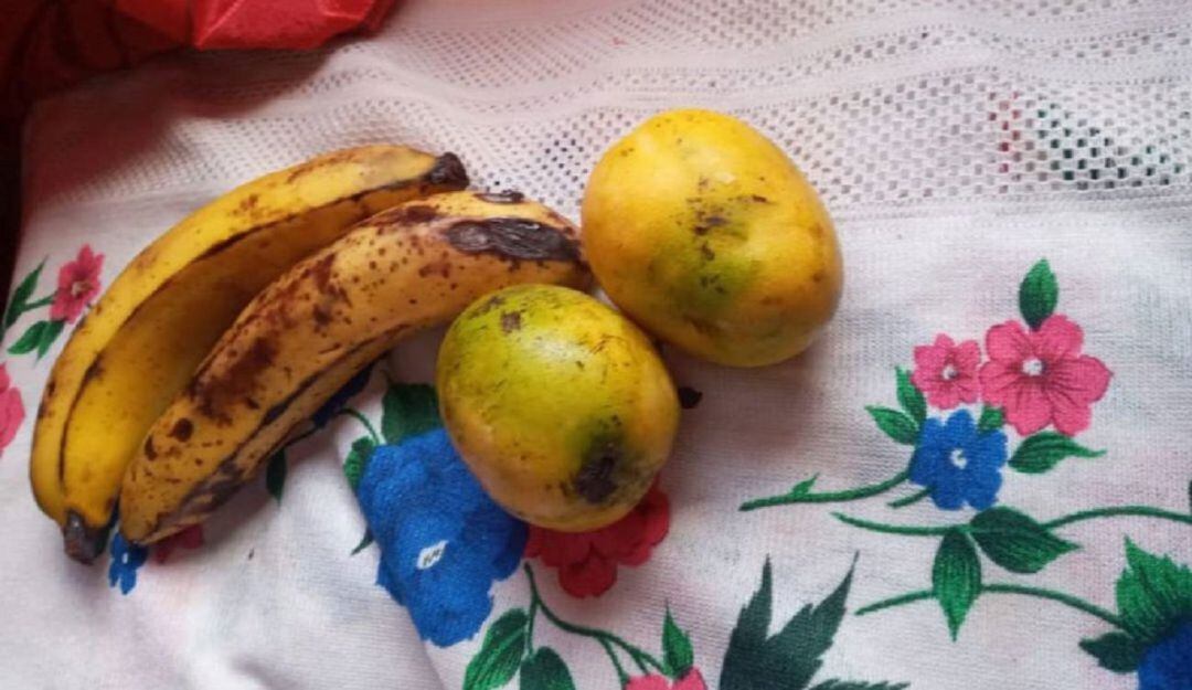 El trámite fue adelantado por la Secretaría de Educación contra los dos operadores del Plan de Alimentación Escolar en Cartagena