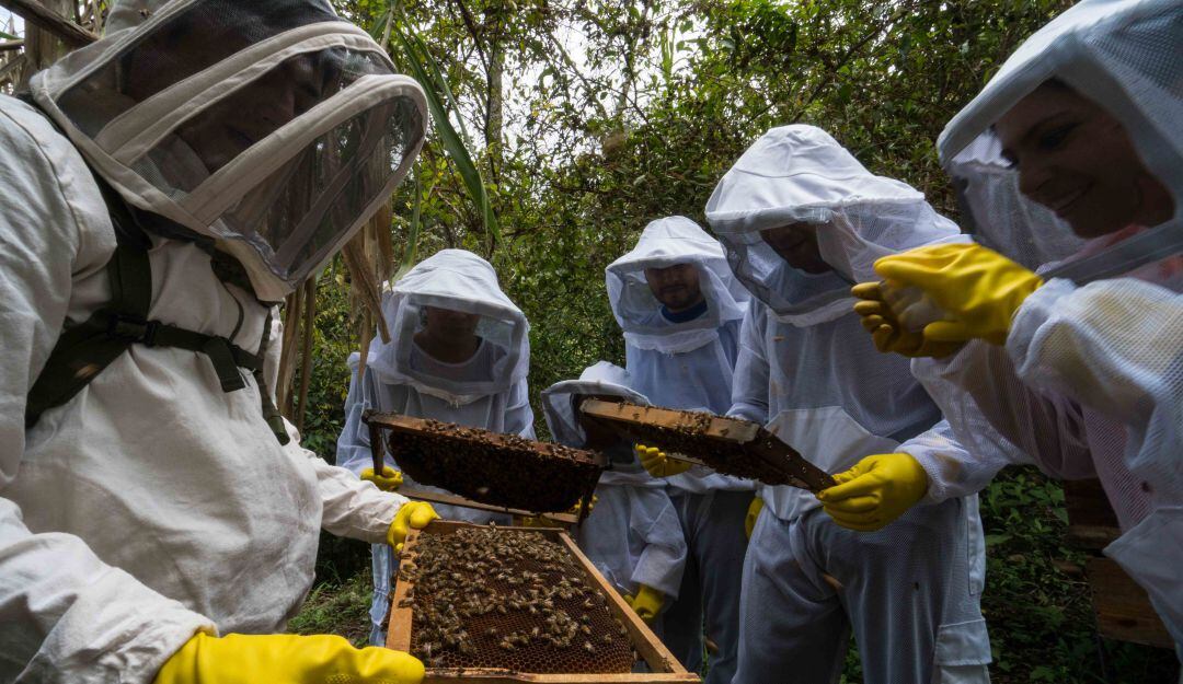 Visitantes en La Ruta de la Miel.
