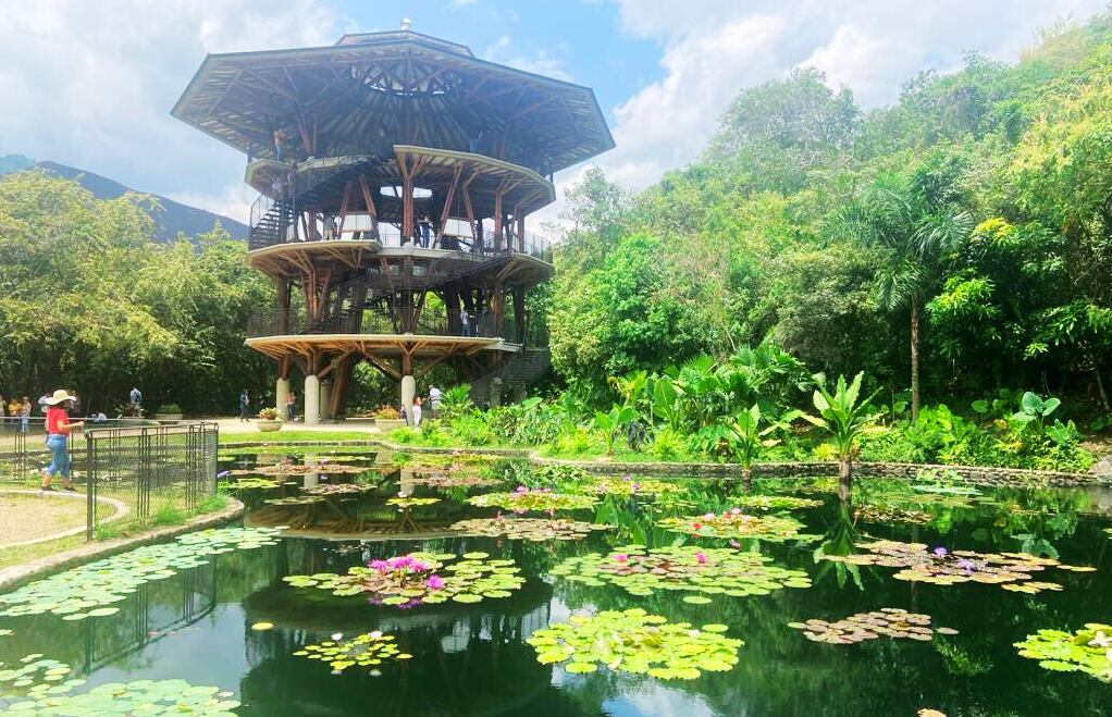Un jardín en el agua embellece la vista del "Mirador", diseñado por el arquitecto Simón Vélez. Jardín Botánico de Cali.