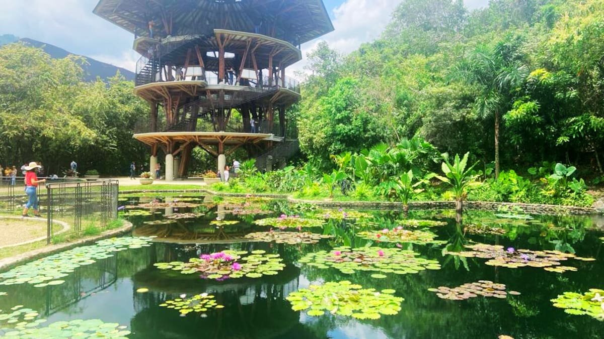 El Jardín Botánico de Cali, espacio lleno de naturaleza, aprendizaje y esparcimiento