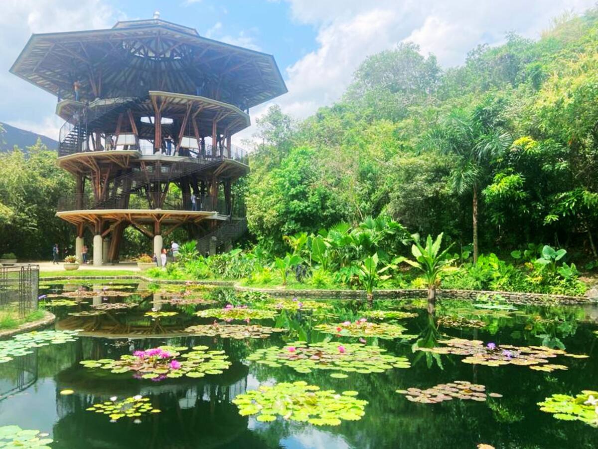 El Jardín Botánico de Cali, espacio lleno de naturaleza, aprendizaje y esparcimiento
