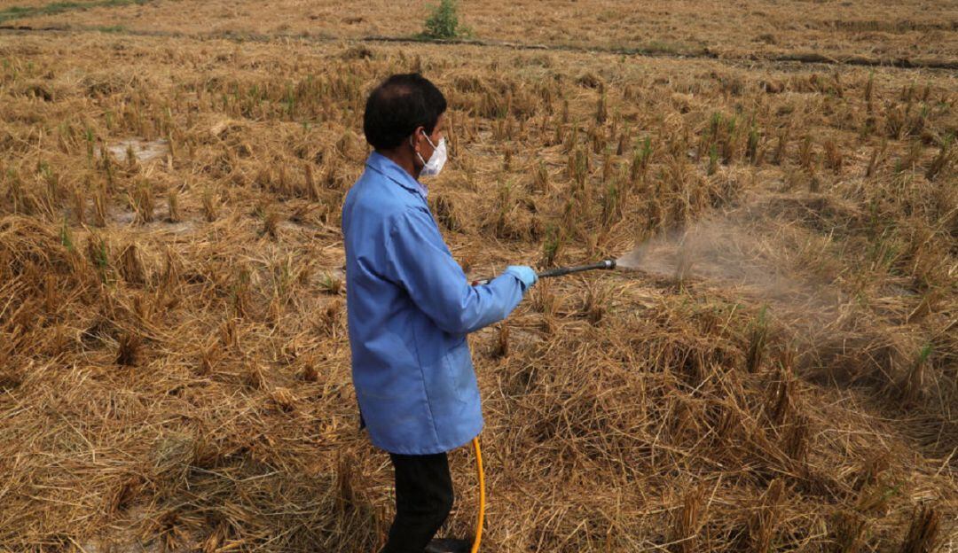 Uso de agroquímicos