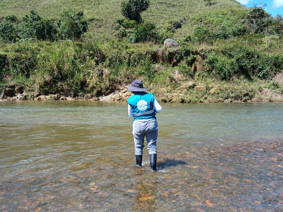 río Nus mortandad de peces- foto Cornare