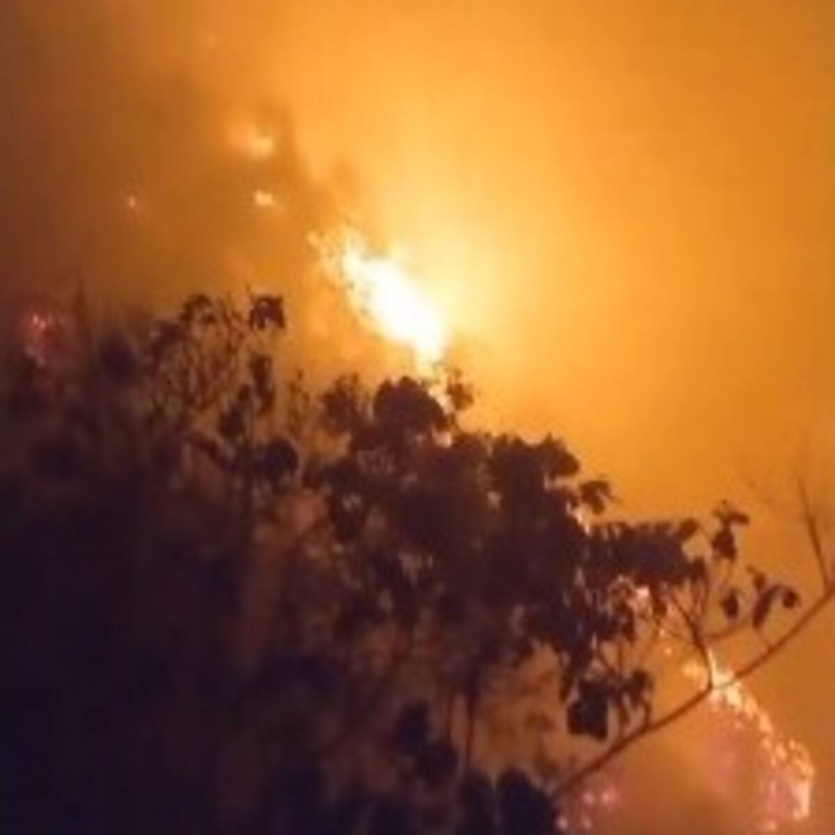 Incontrolable incendio forestal en Girón y Lebrija pone en riesgo cultivos de piña