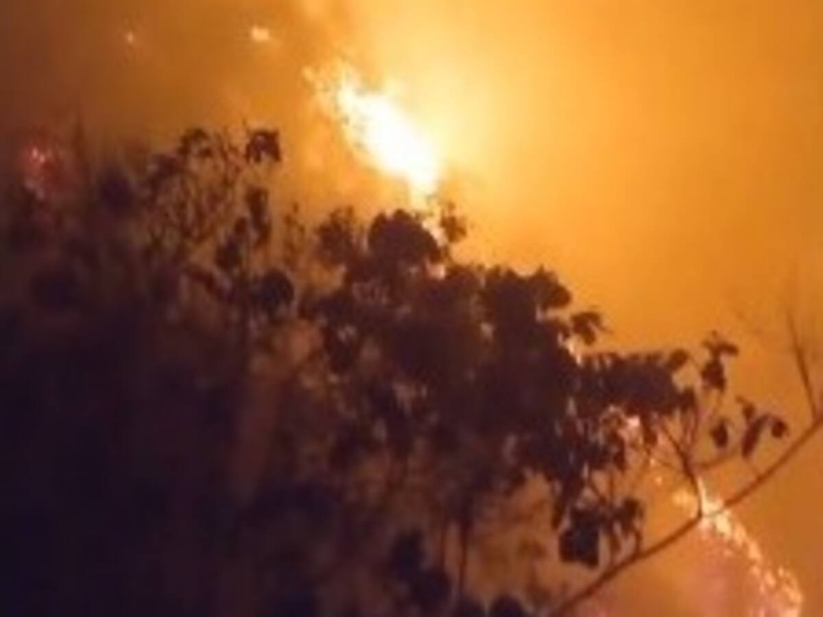 Incontrolable incendio forestal en Girón y Lebrija pone en riesgo cultivos de piña