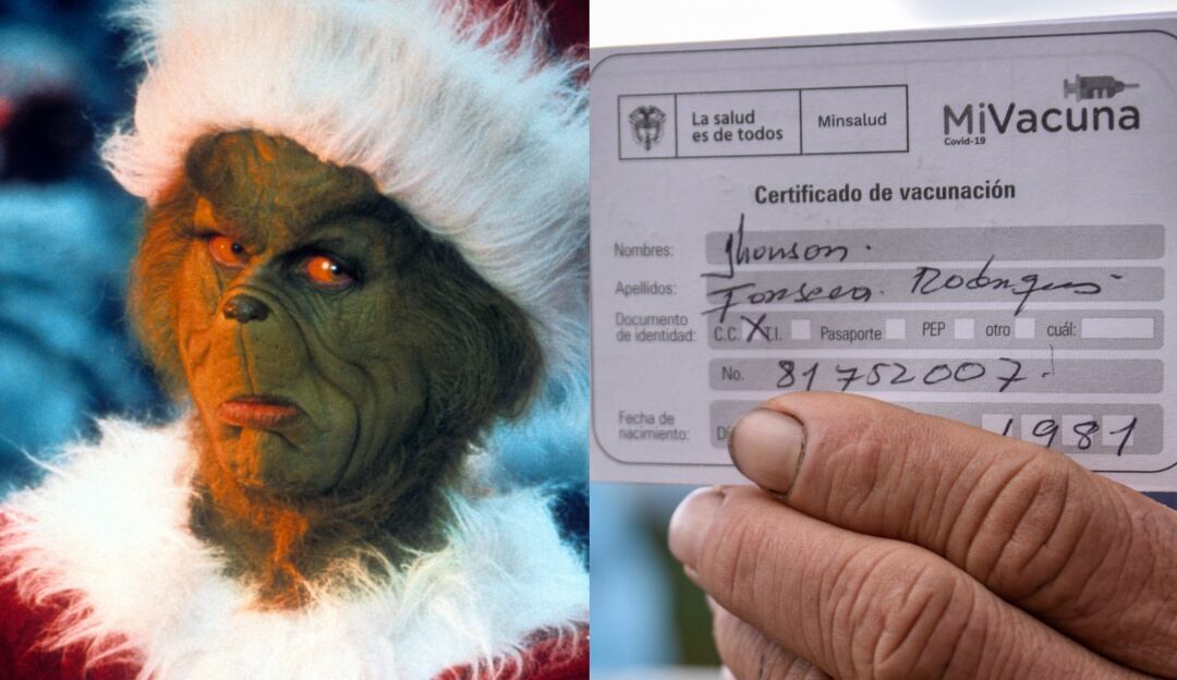 Carné de vacunación 