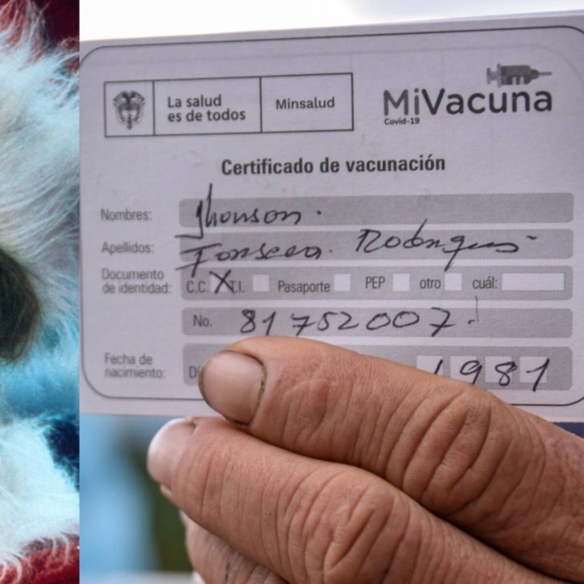 ¡No sea el grinch! Aliste su carné de vacunación para fiestas navideñas