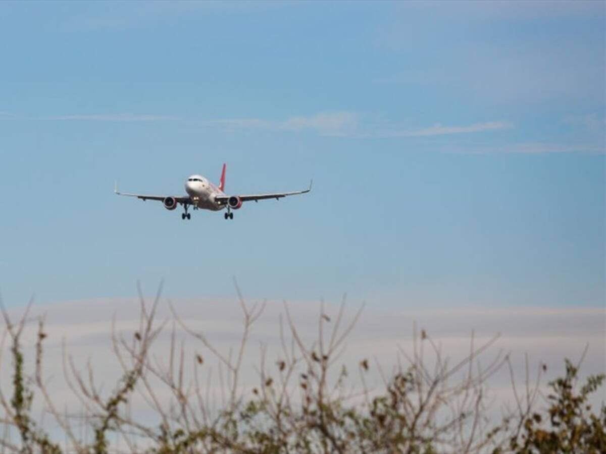 El relato de una sobreviviente del vuelo 11 de Avianca 37 años después de la tragedia